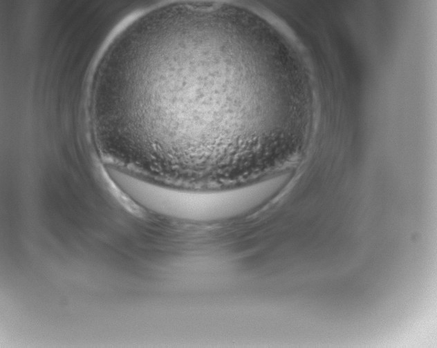 X0000082691248200702021319