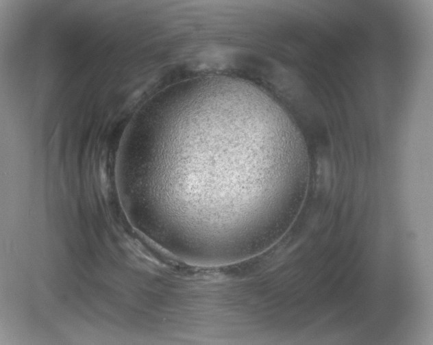 X0000082691250200702021318