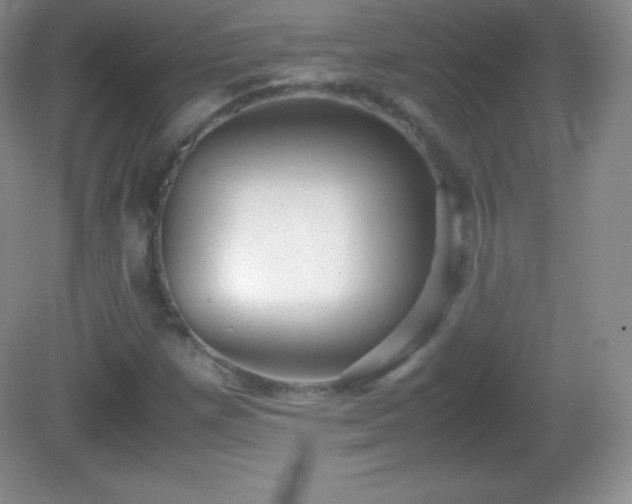 X0000082691257200702021318