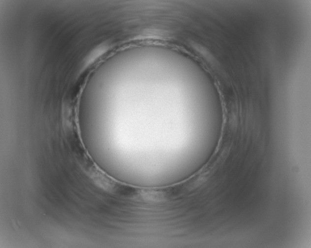 X0000082691258200702021318