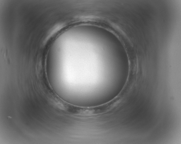 X0000082691261200702021318