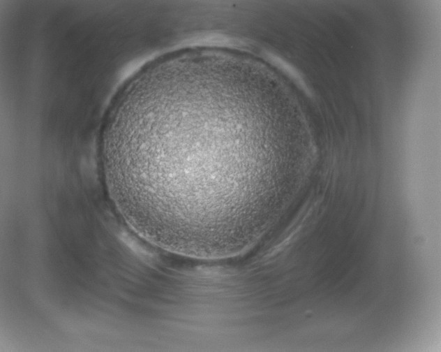 X0000082691264200702021318