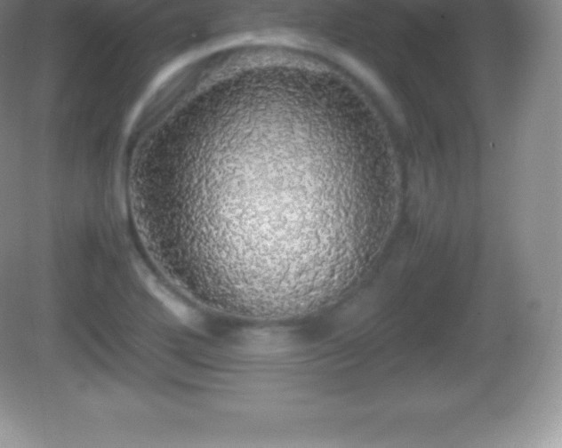 X0000082691272200702021318