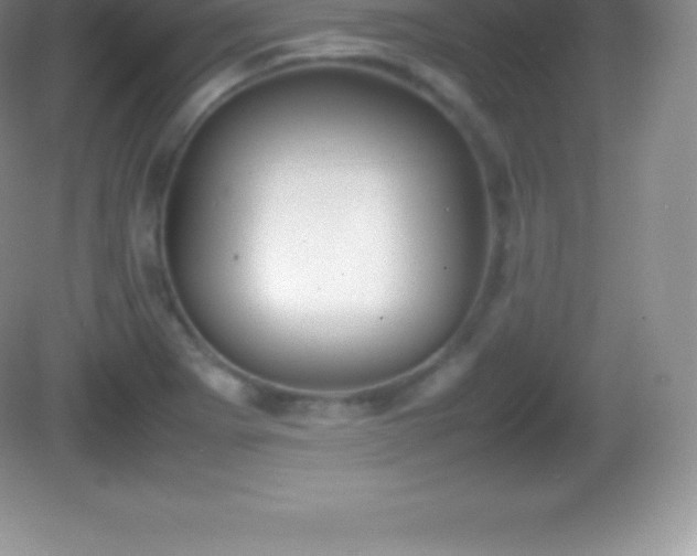 X0000082691273200702021318