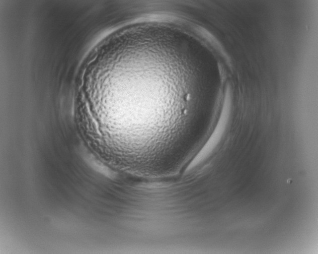 X0000082691276200702021318