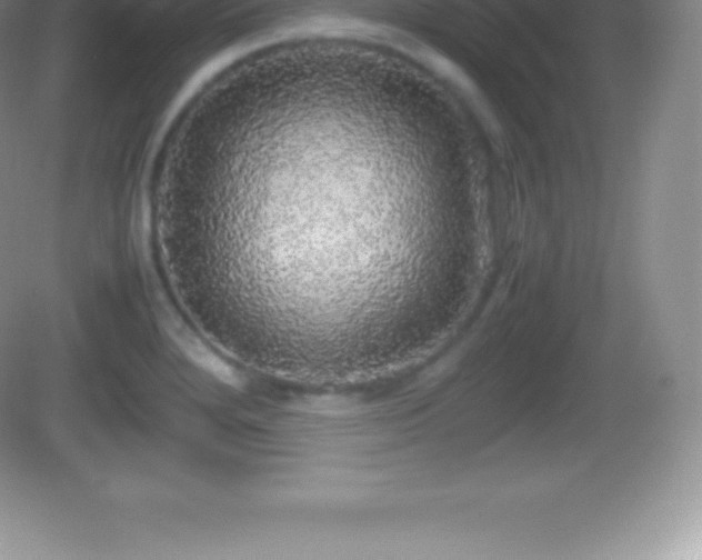 X0000082691280200702021318