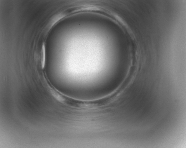 X0000082691281200702021318