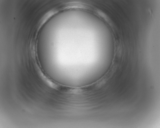 X0000082691282200702021318