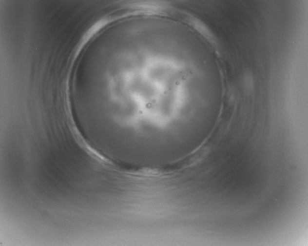 X0000082691283200702021318