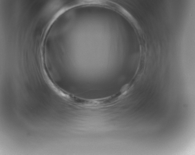 X0000082691291200702021318