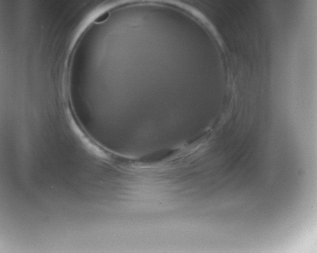 X0000082691295200702021317