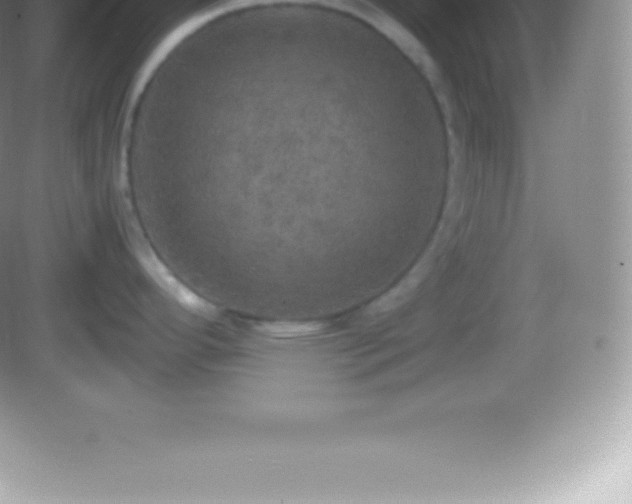 X0000082691296200702021317