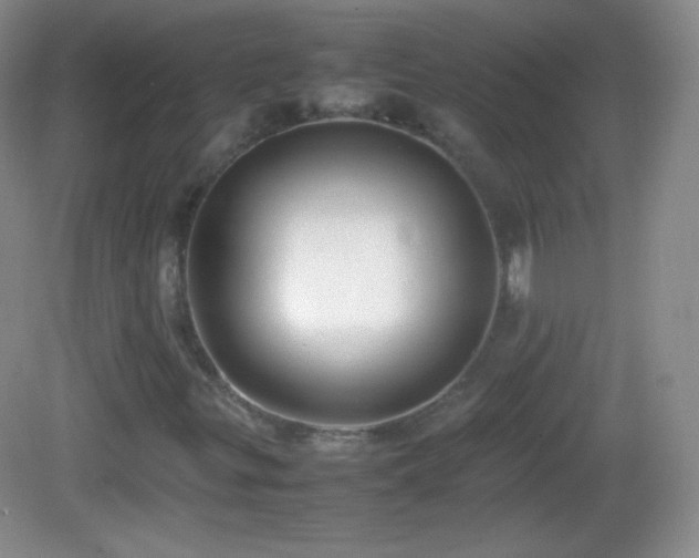 X0000082691299200702021317