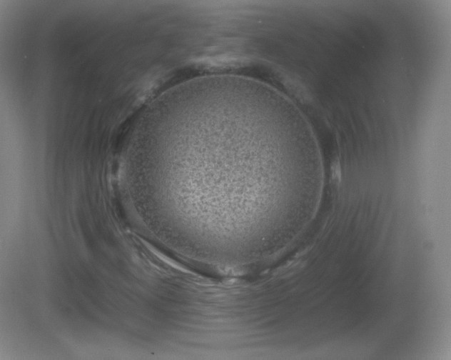 X0000082691300200702021317