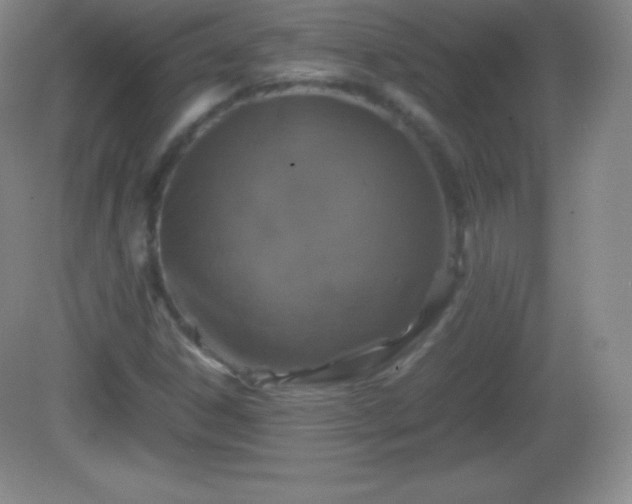 X0000082691306200702021317