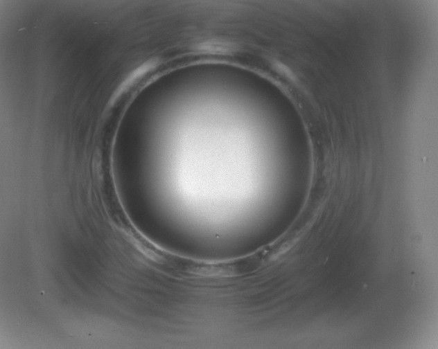 X0000082691307200702021317