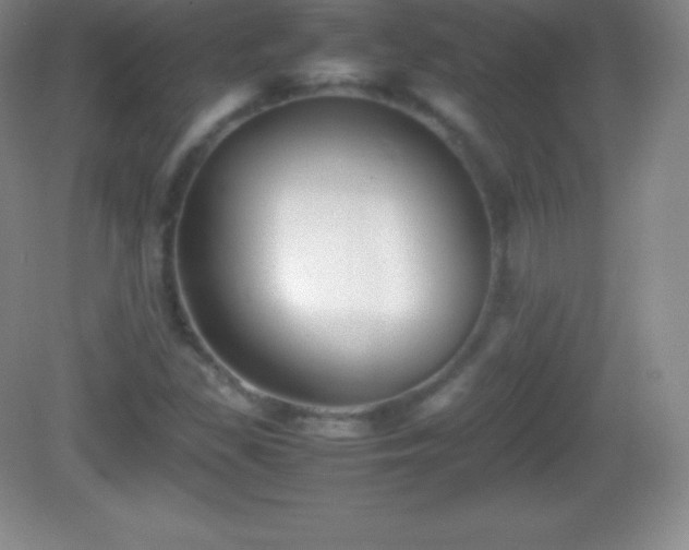X0000082691309200702021317