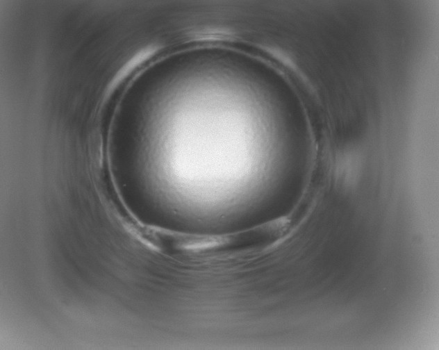 X0000082691317200702021317