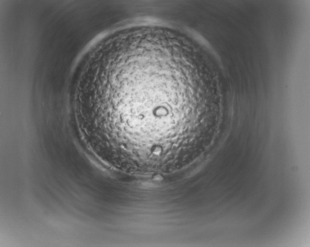 X0000082691318200702021317