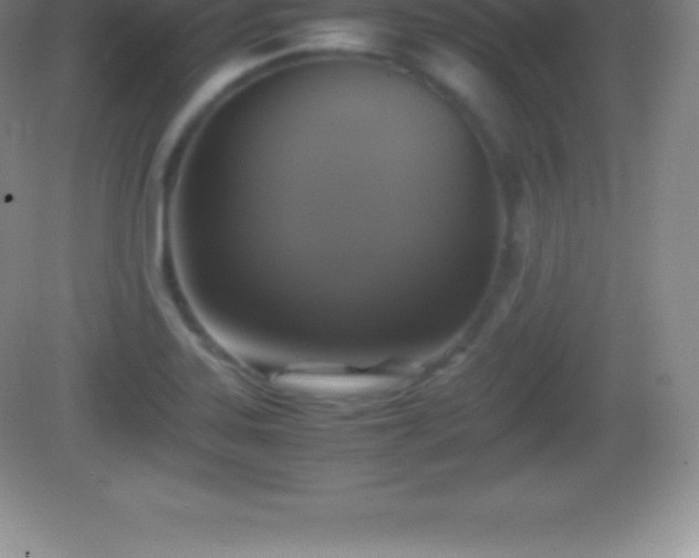 X0000082691323200702021317