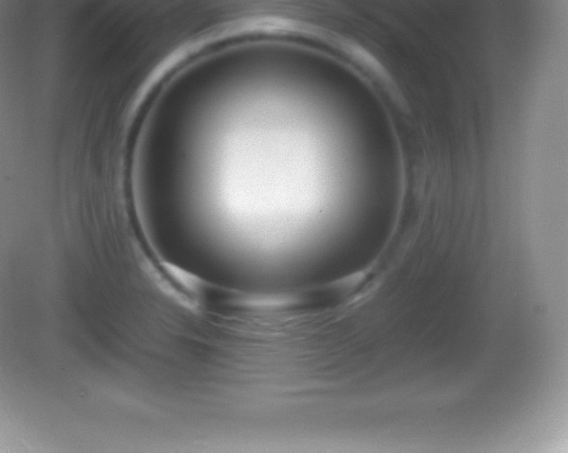 X0000082691326200702021317