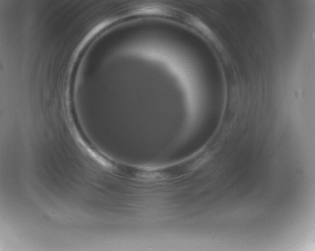 X0000082691331200702021317