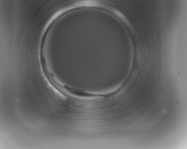 X0000082691334200702021317