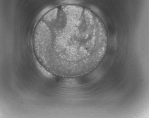 X0000082691338200702021317