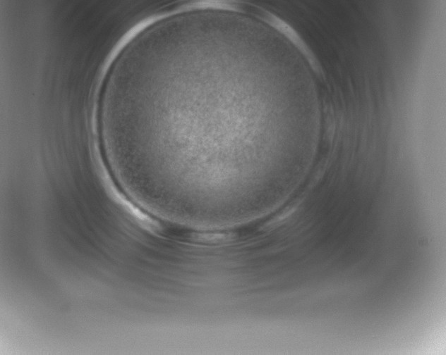 X0000082691339200702021317