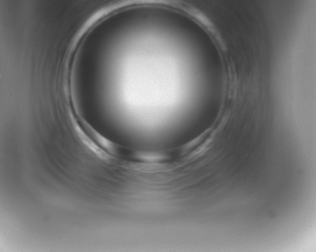 X0000082691342200702021317