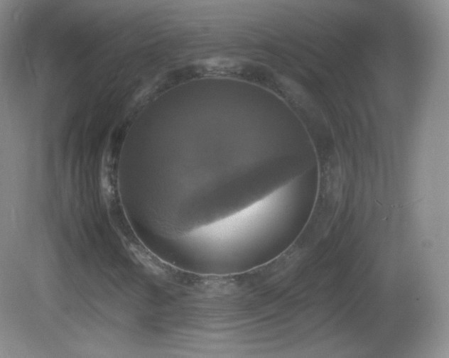 X0000082691346200702021317
