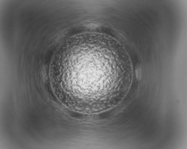 X0000082691347200702021317