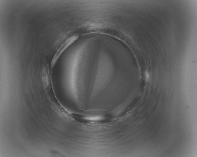 X0000082691348200702021317