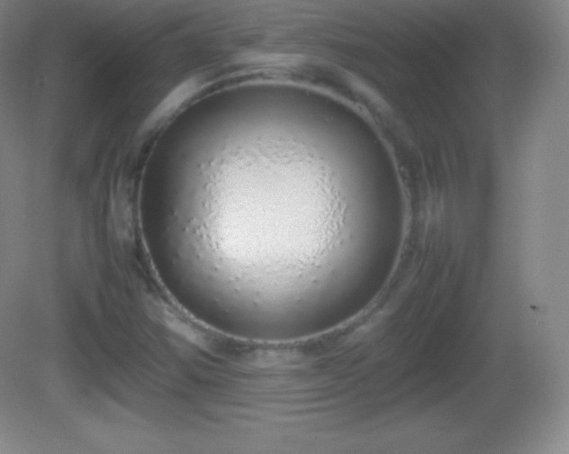 X0000082691354200702021316