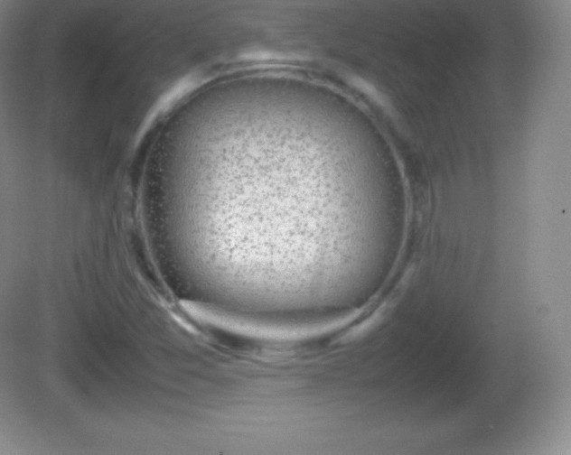 X0000082691357200702021316