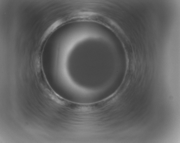 X0000082691362200702021316
