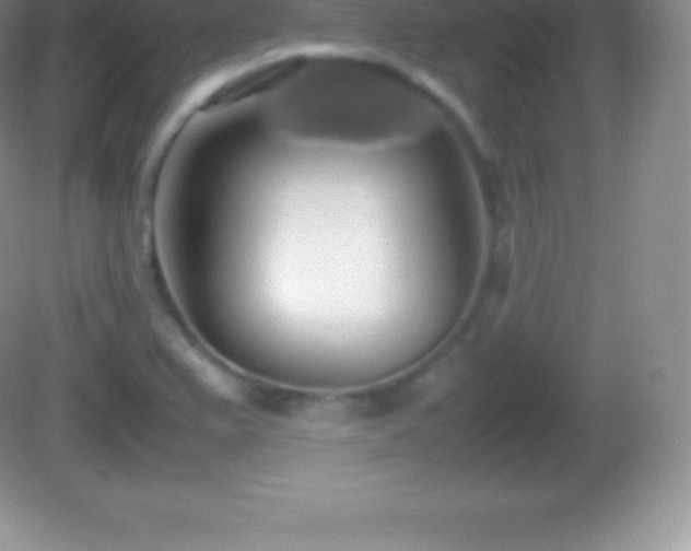 X0000082691367200702021316