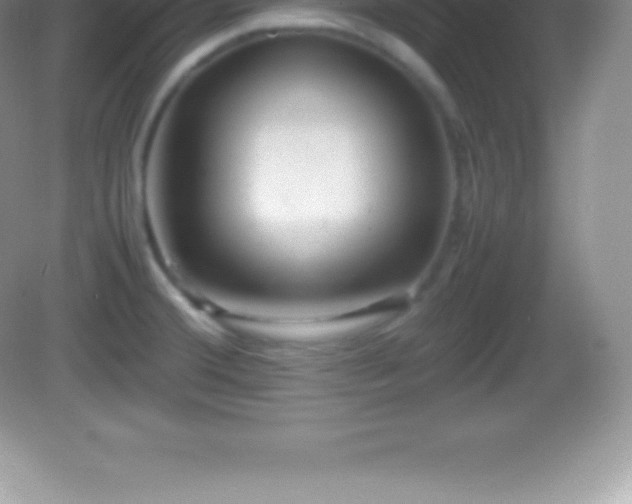 X0000082691380200702021316