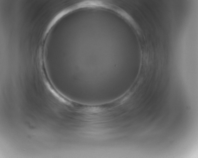 X0000082691382200702021316