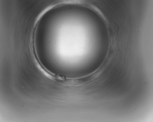 X0000082691387200702021316