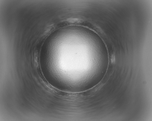 X0000082691396200702021315