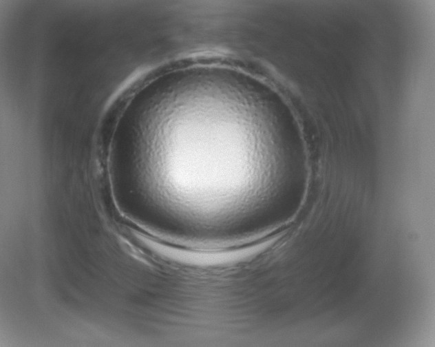 X0000082691400200702021315