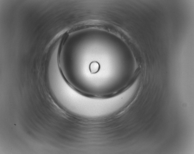 X0000082691402200702021315