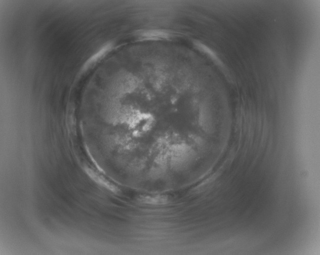 X0000082691403200702021315