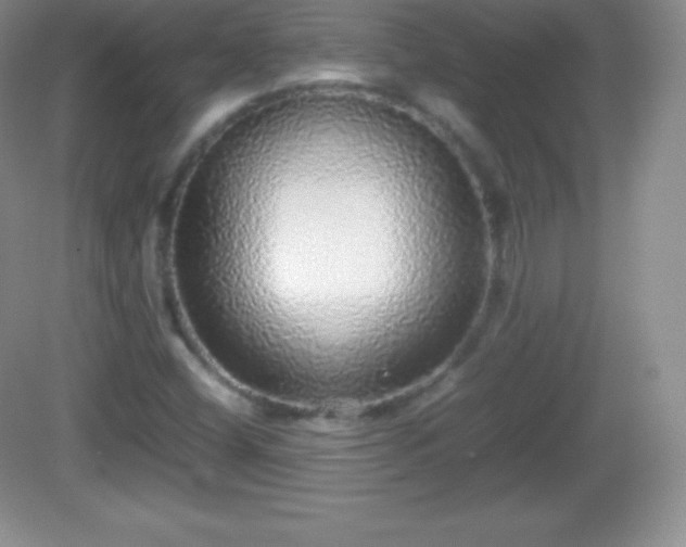 X0000082691404200702021315