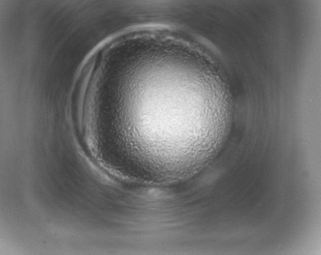 X0000082691412200702021315