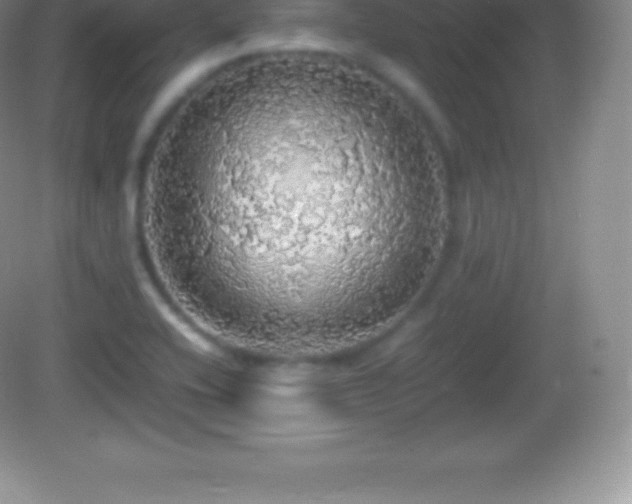 X0000082691416200702021315
