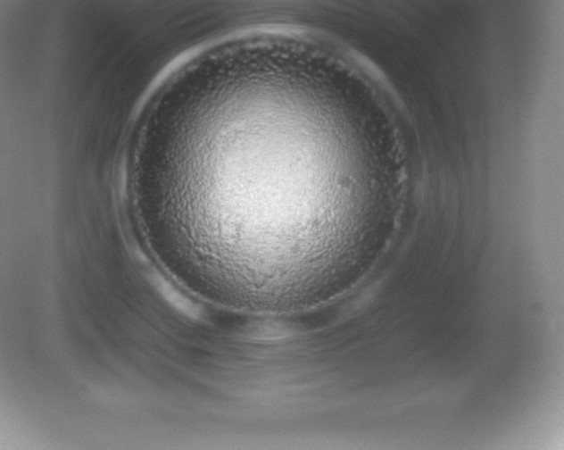 X0000082691420200702021315