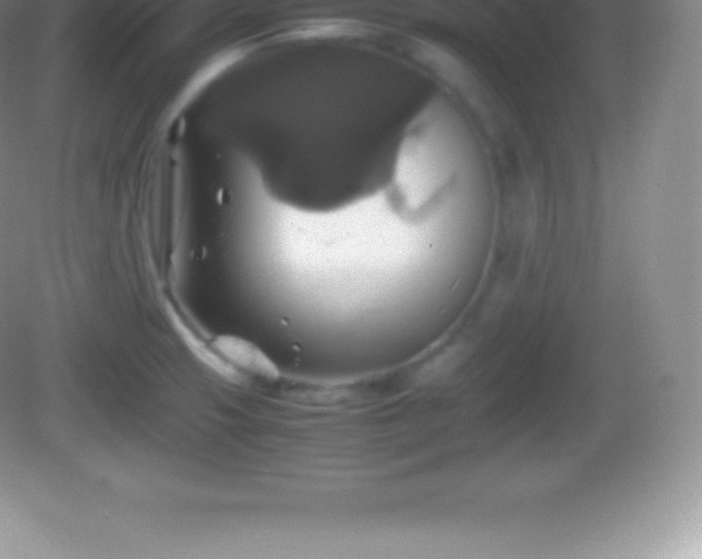 X0000082691425200702021316