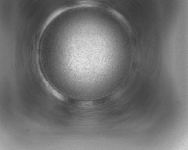 X0000082691431200702021316